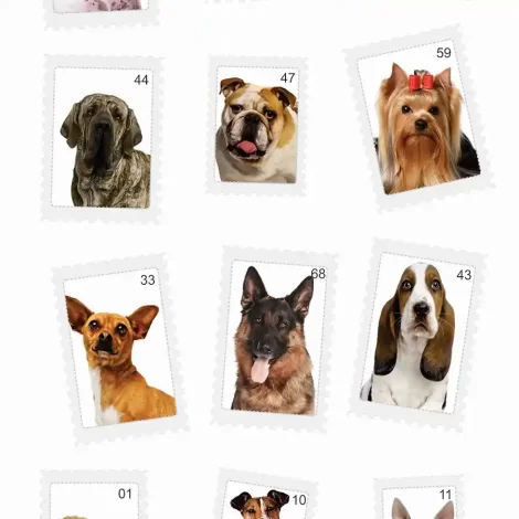 Papel de Parede Animal – Design Elegante