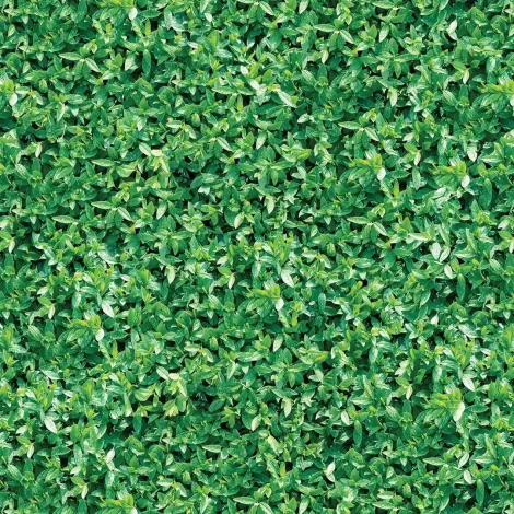 papel-de-parede-folhas-02-exdecor-principal