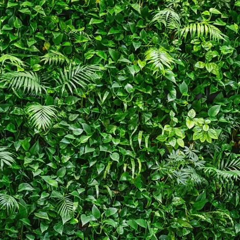 Papel de Parede Folhas – Decoração Sofisticada