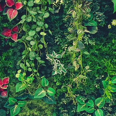 Papel de Parede Folhas – Decoração Sofisticada