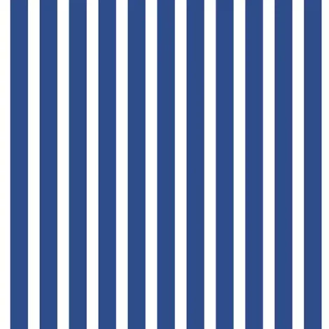 Papel de Parede Listrado – Transforme seu Ambiente