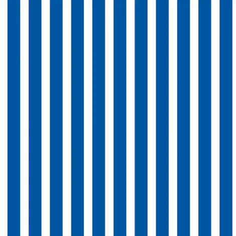 Papel de Parede Listrado – Decoração Sofisticada