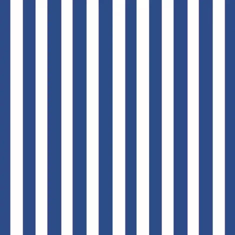 Papel de Parede Listrado – Decoração Sofisticada